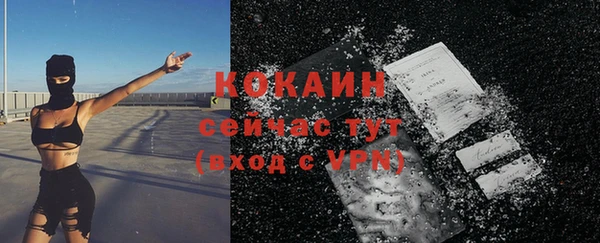 бошки Коряжма