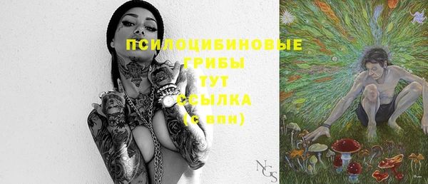 бошки Коряжма