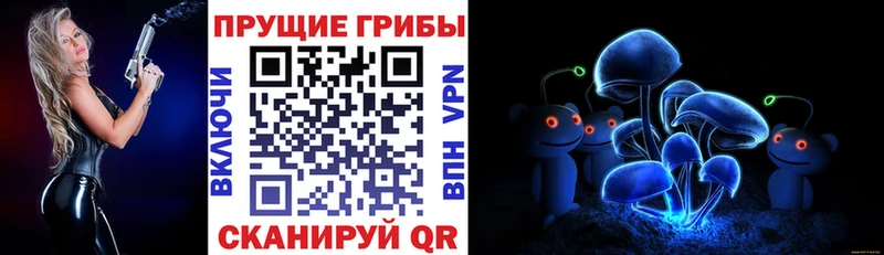 Купить где  Теберда  Галлюциногенные грибы GOLDEN TEACHER 